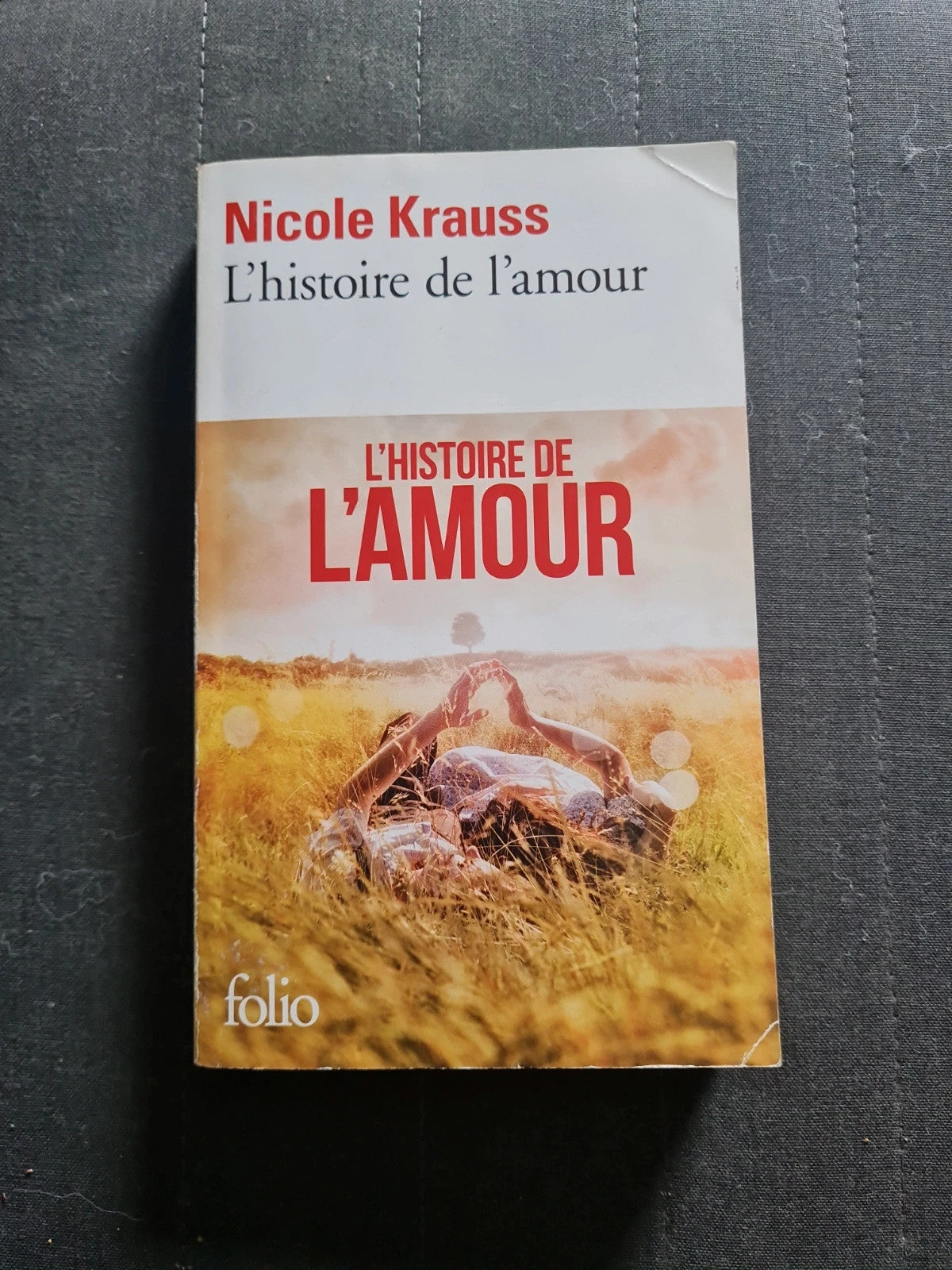 L'histoire De L'amour - Nicole Krauss - Folio 4699