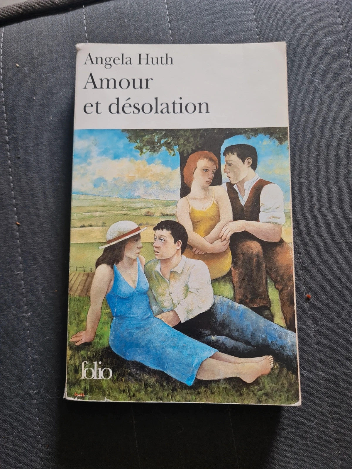 Amour Et Désolation - Angela Huth