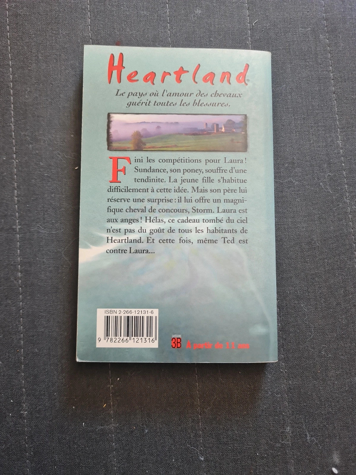 Heartland Tome 10 - Une Ombre Au Tableau - Lauren Brooke - Pocket J841