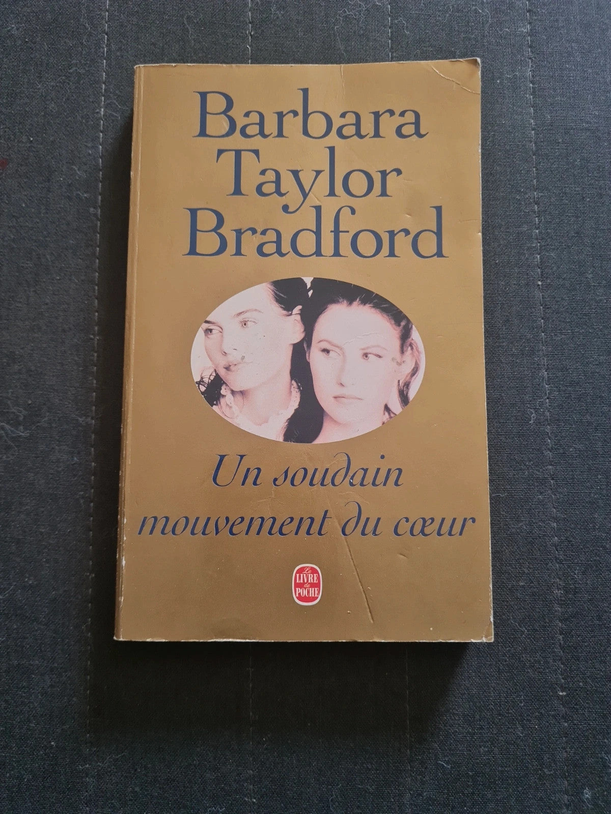 Un soudain mouvement de coeur, Barbara Bradford Taylor, Michel Ganstel