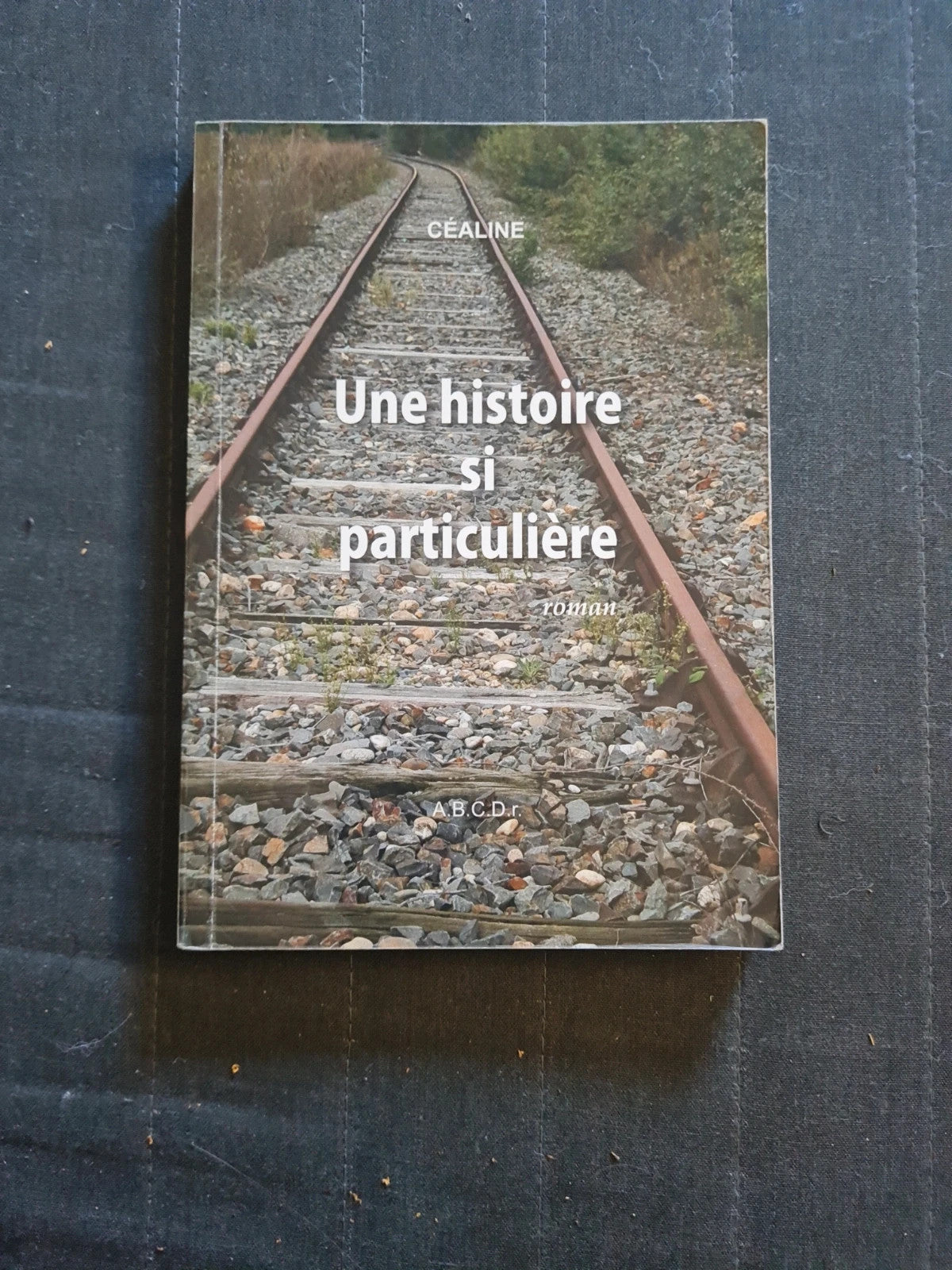 Une histoire si particulière Céaline  9782916675183