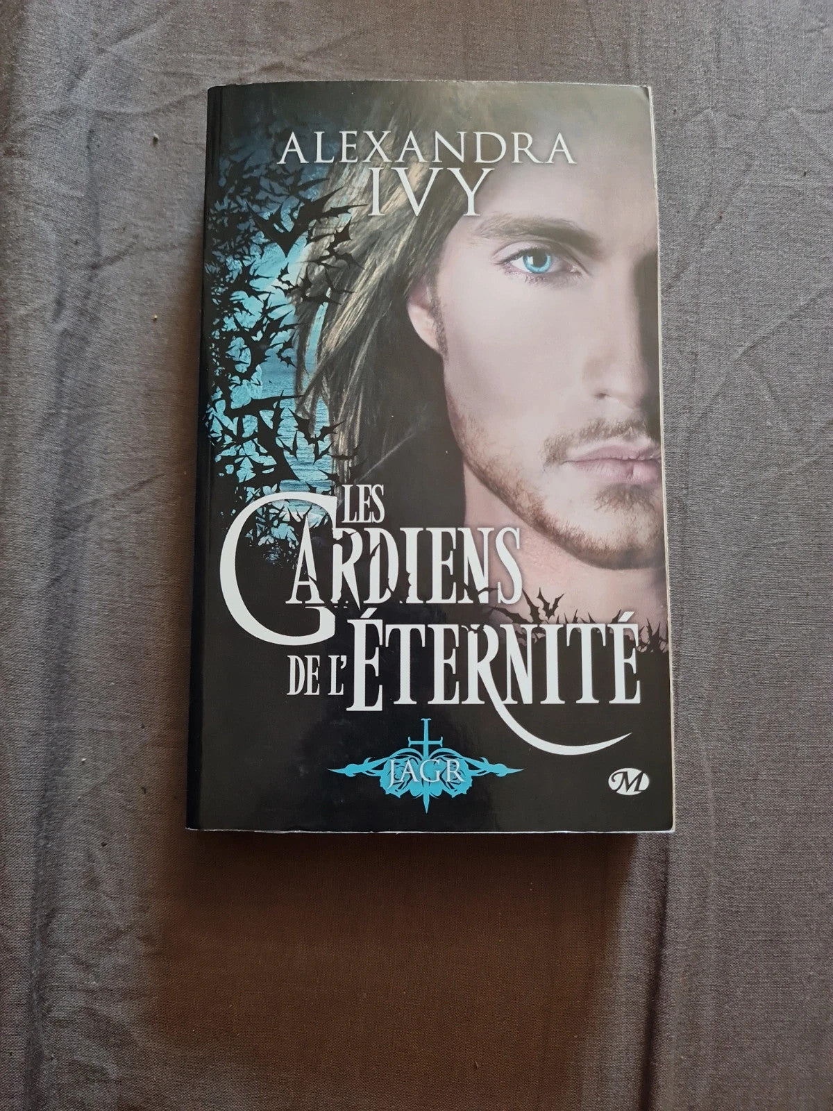 Les Gardiens de l'éternité, Tome 5: Jagr, Alexandra Ivy