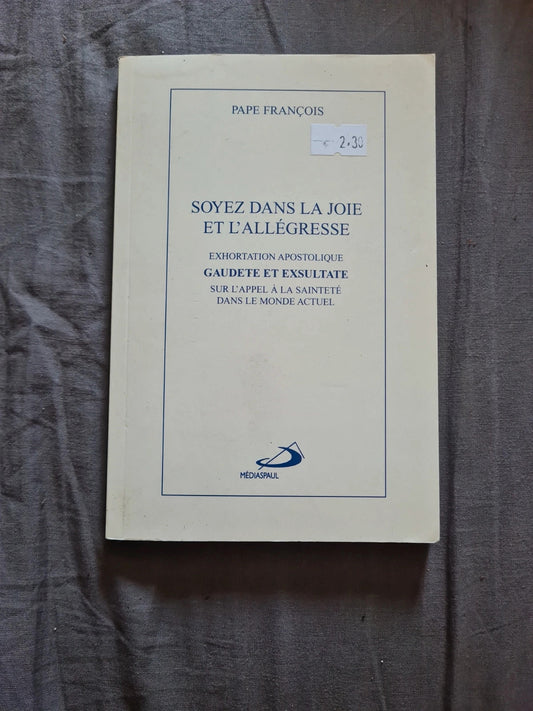 soyez dans la joie et l'allégresse sur l'appel a la sainteté dans le monde actuel