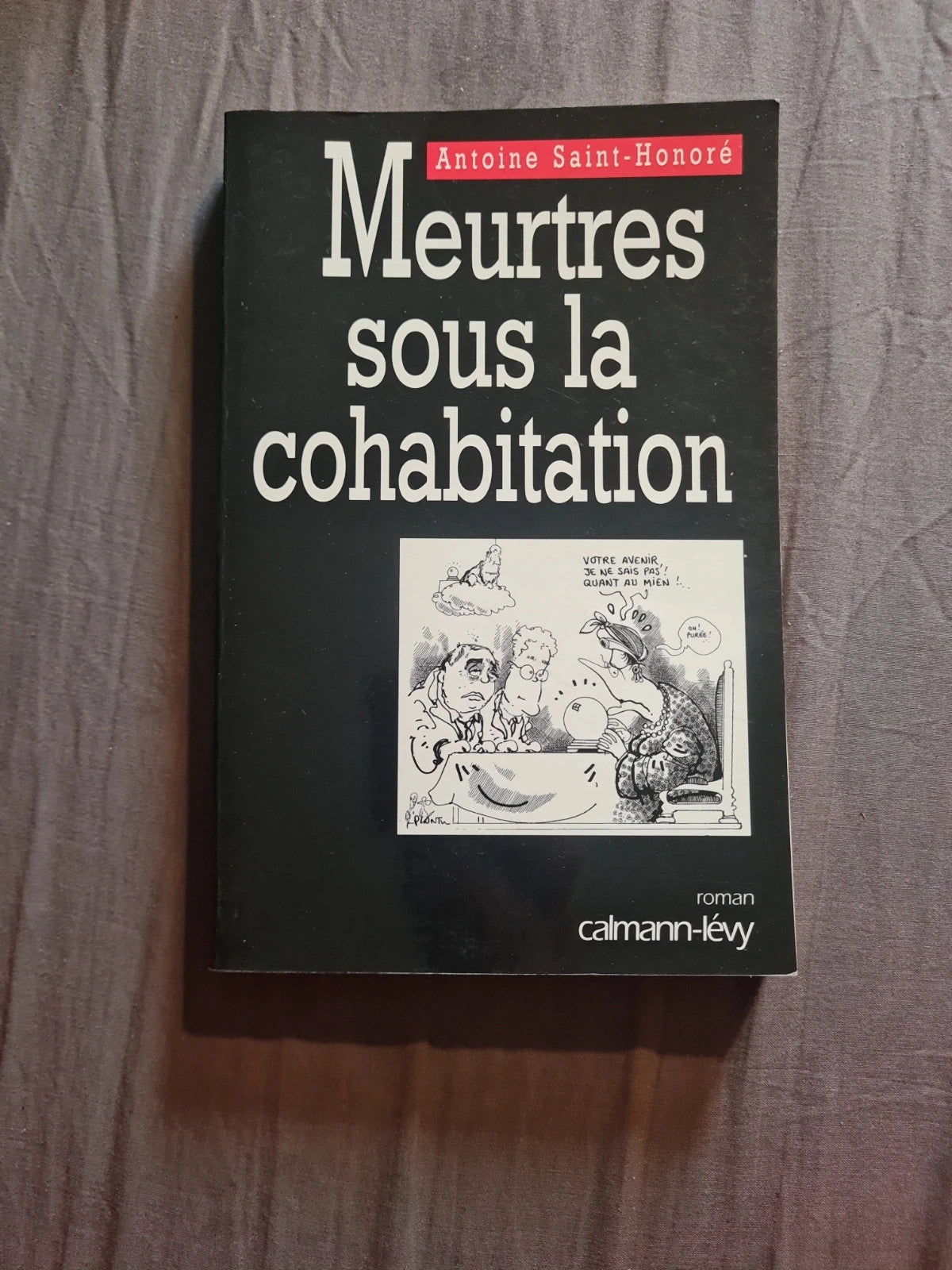 Meurtres sous la cohabitation , Antoine Saint Honoré