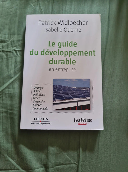 Développement durable en entreprise : mode d'emploi