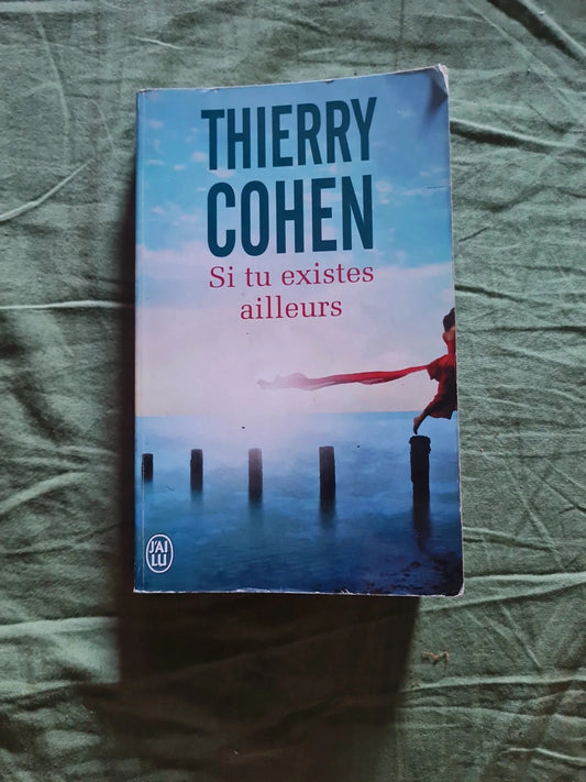 Si tu existe ailleurs, Thierry Cohen