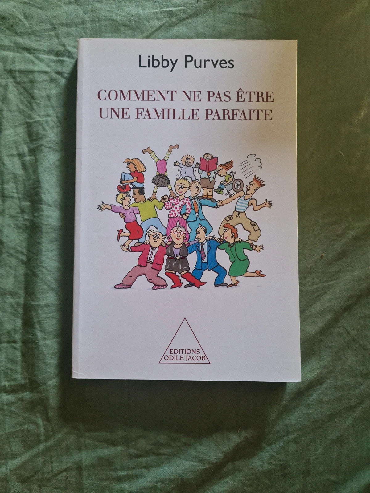 Comment ne pas être une famille parfaite, Libby Purves