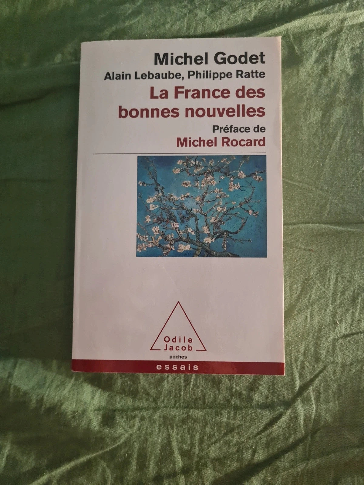 La France des bonnes nouvelles,  Michel Godet