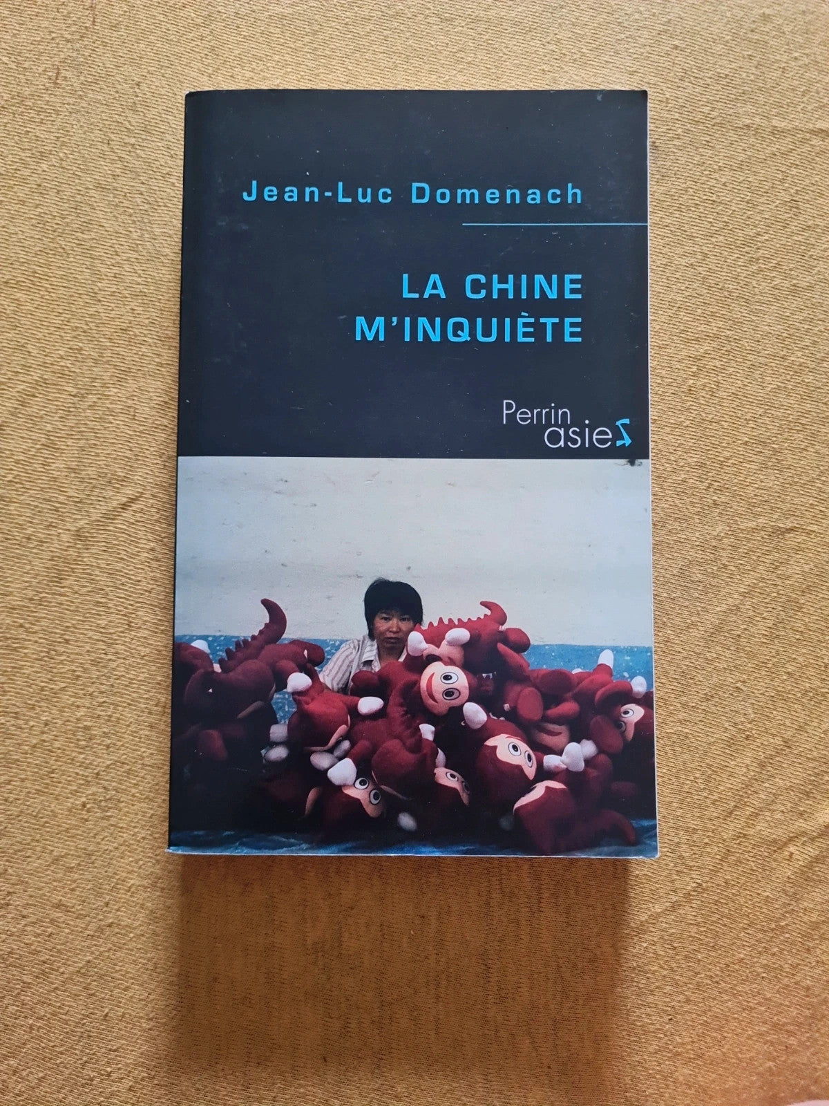 La Chine m'inquiète, Jean Luc Domenach