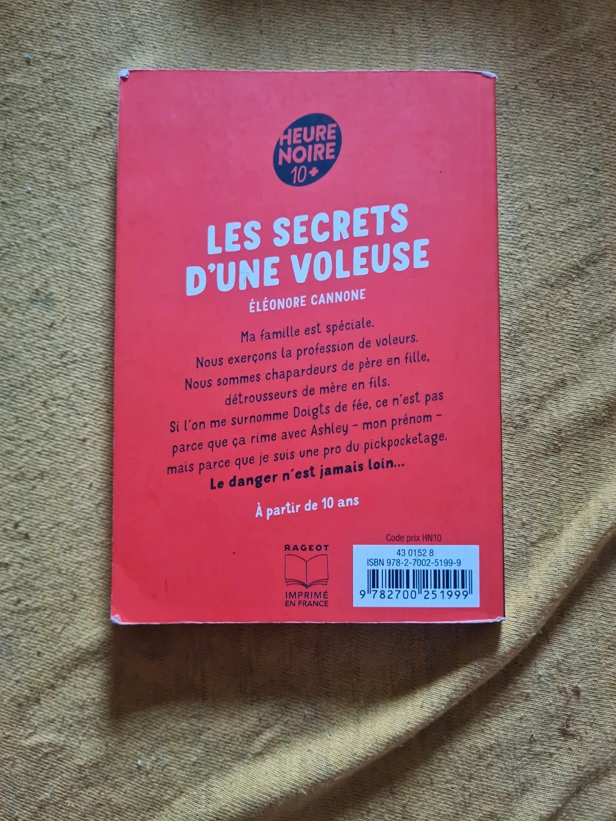 Les secrets d'une voleuse , Eleonore Cannone