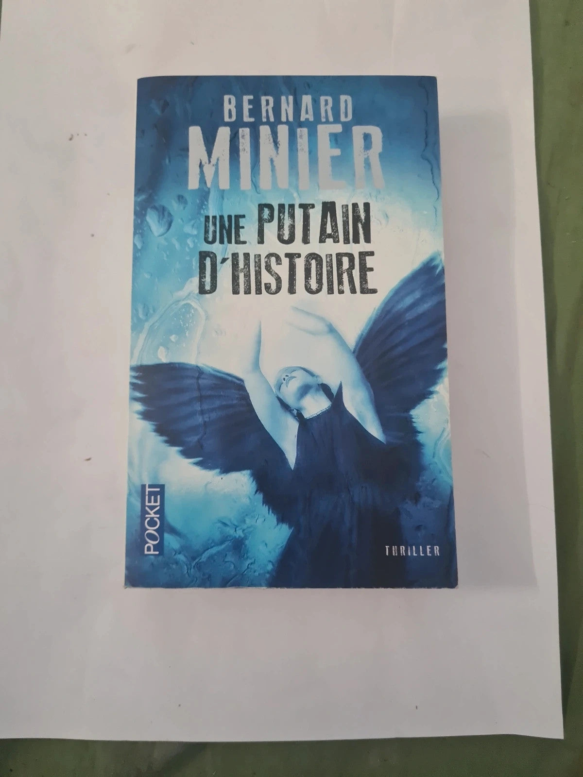 Une putain d'histoire,  Bernard Minier