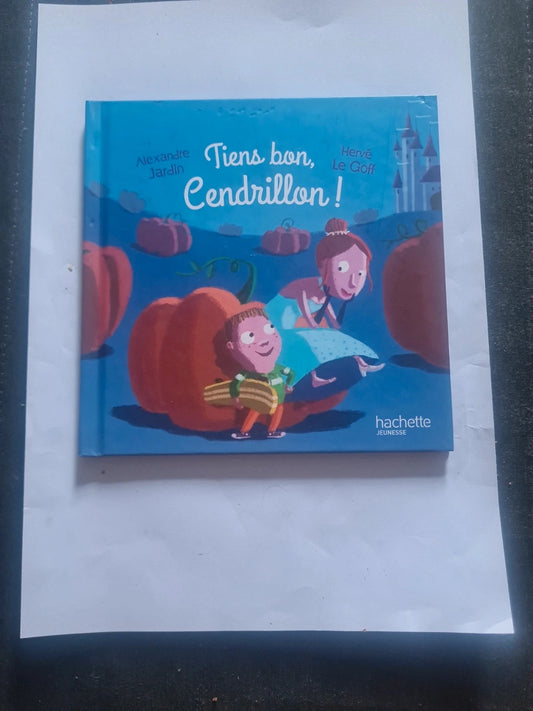 Tiens bon cendrillon , Alexandre Jardin,  Hervé le Goff