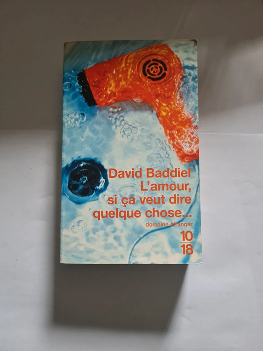 L'amour, si ça veut dire quelque chose, David Baddiel