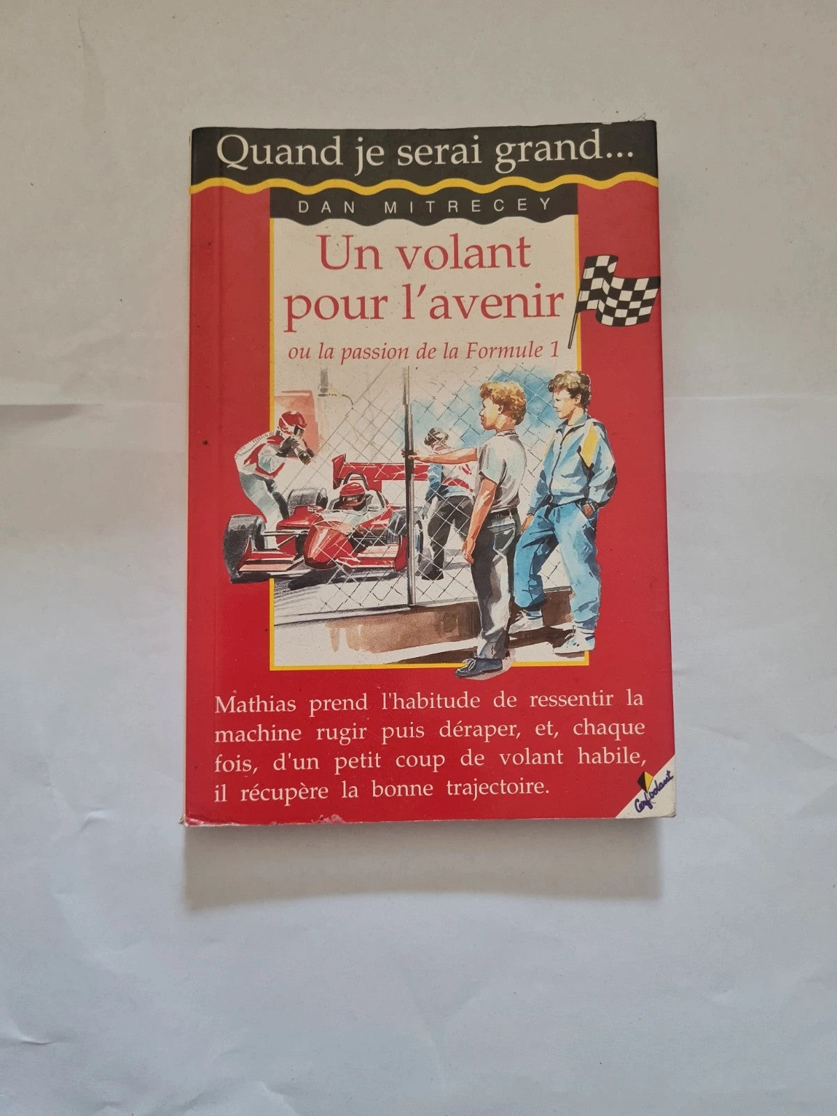 Un volant pour l'avenir ou la passion de la formule 1 , Dan Mitrecey