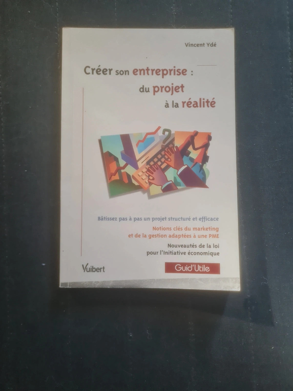 Créer son entreprise : Du projet à la réalité, Vincent Ydé