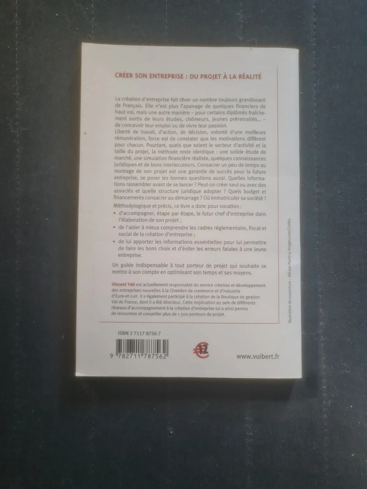 Créer son entreprise : Du projet à la réalité, Vincent Ydé