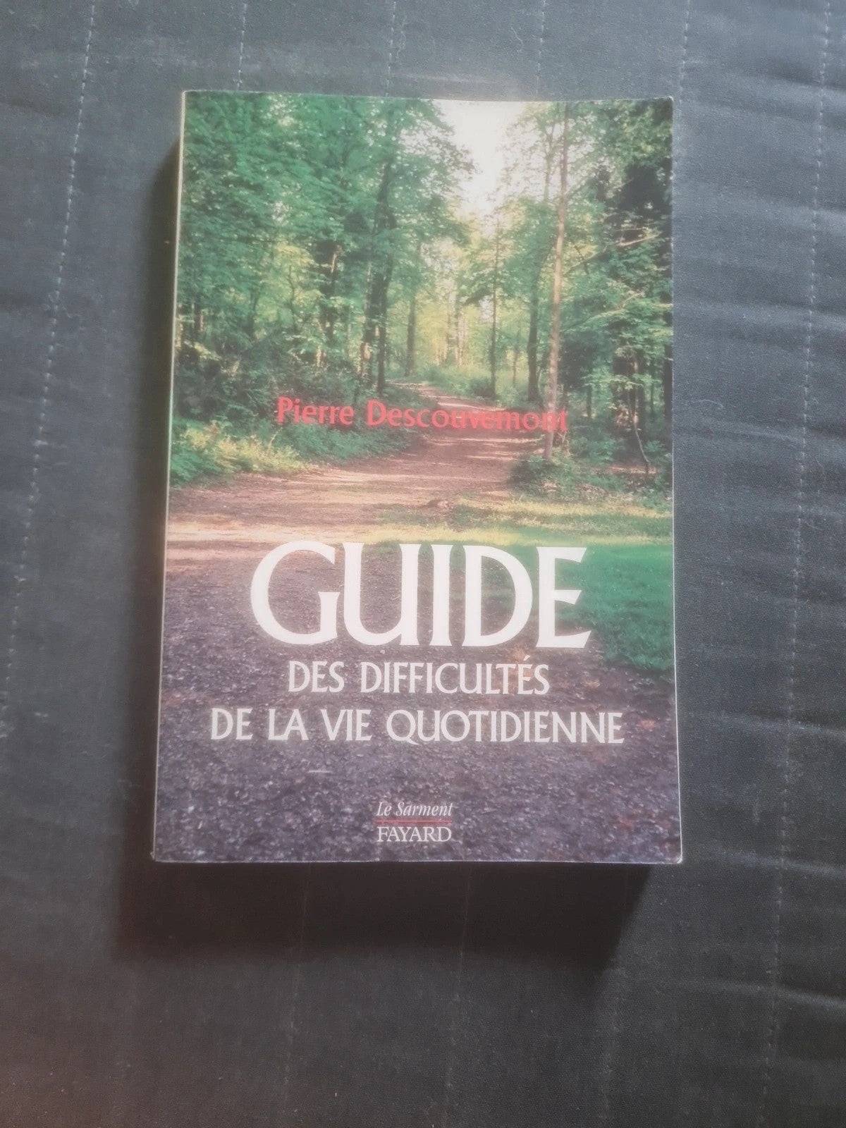 Guide des difficultés de la vie quotidienne , Pierre Descouvemont