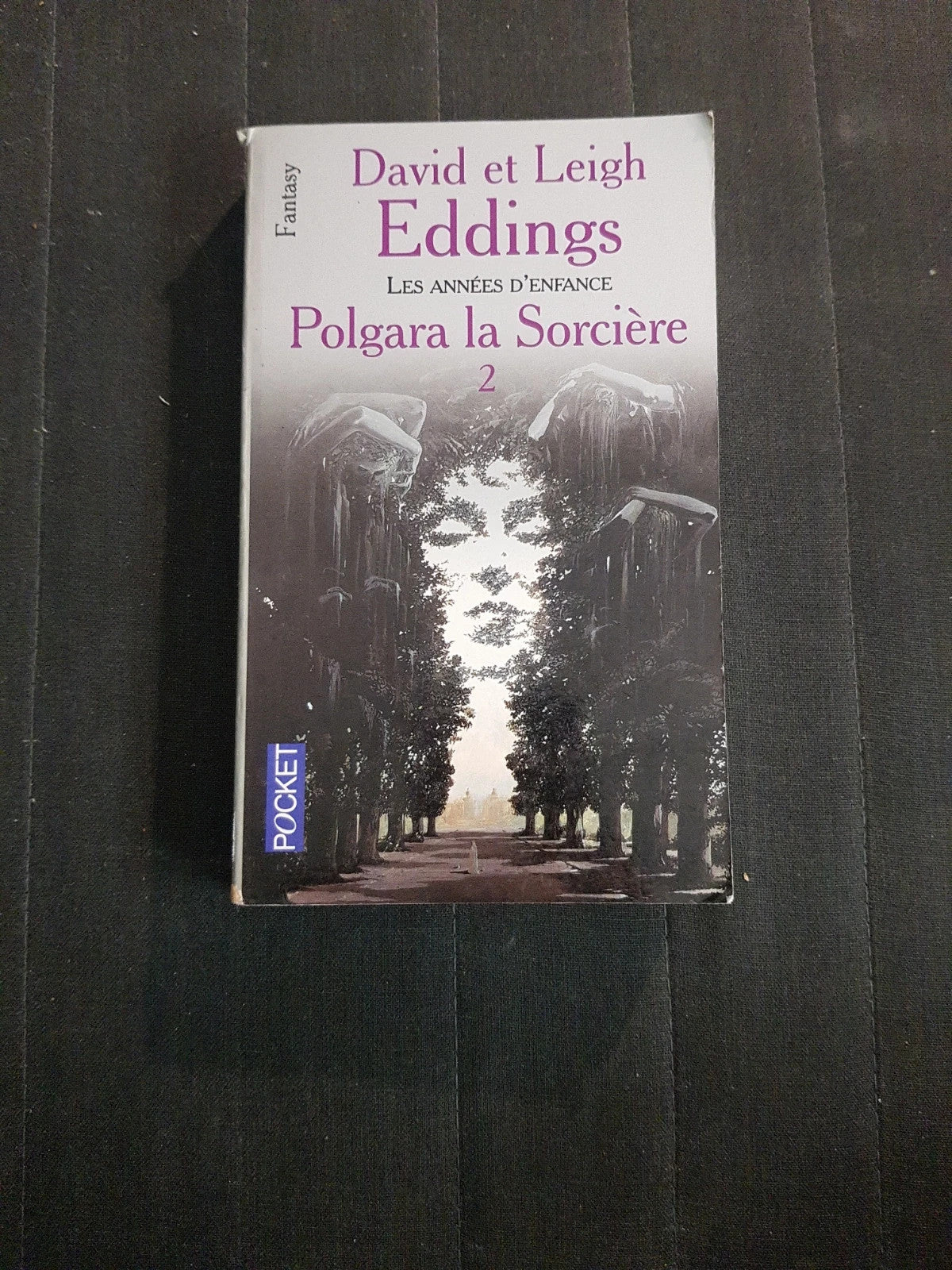 Pologara la sorcière T2 les années d'enfance,  David et Leigh Eddings