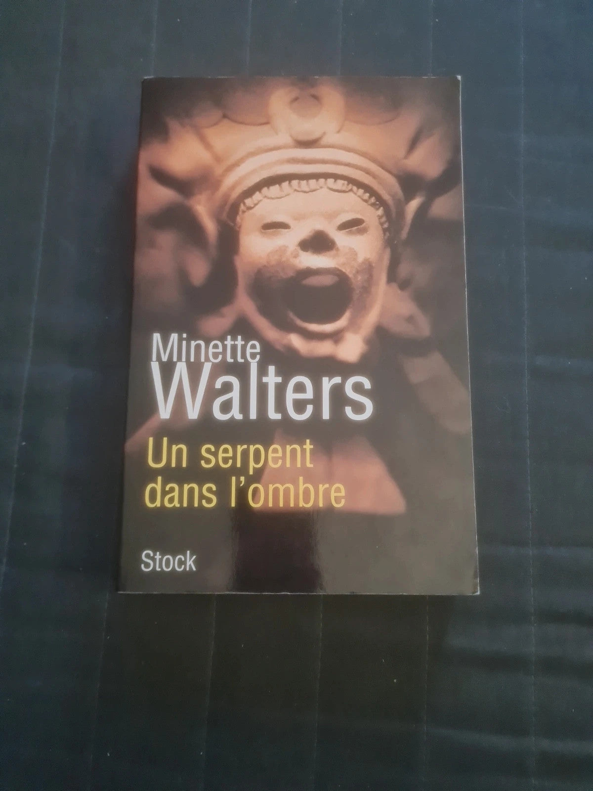 Un serpent dans l'ombre,  Minette Walters