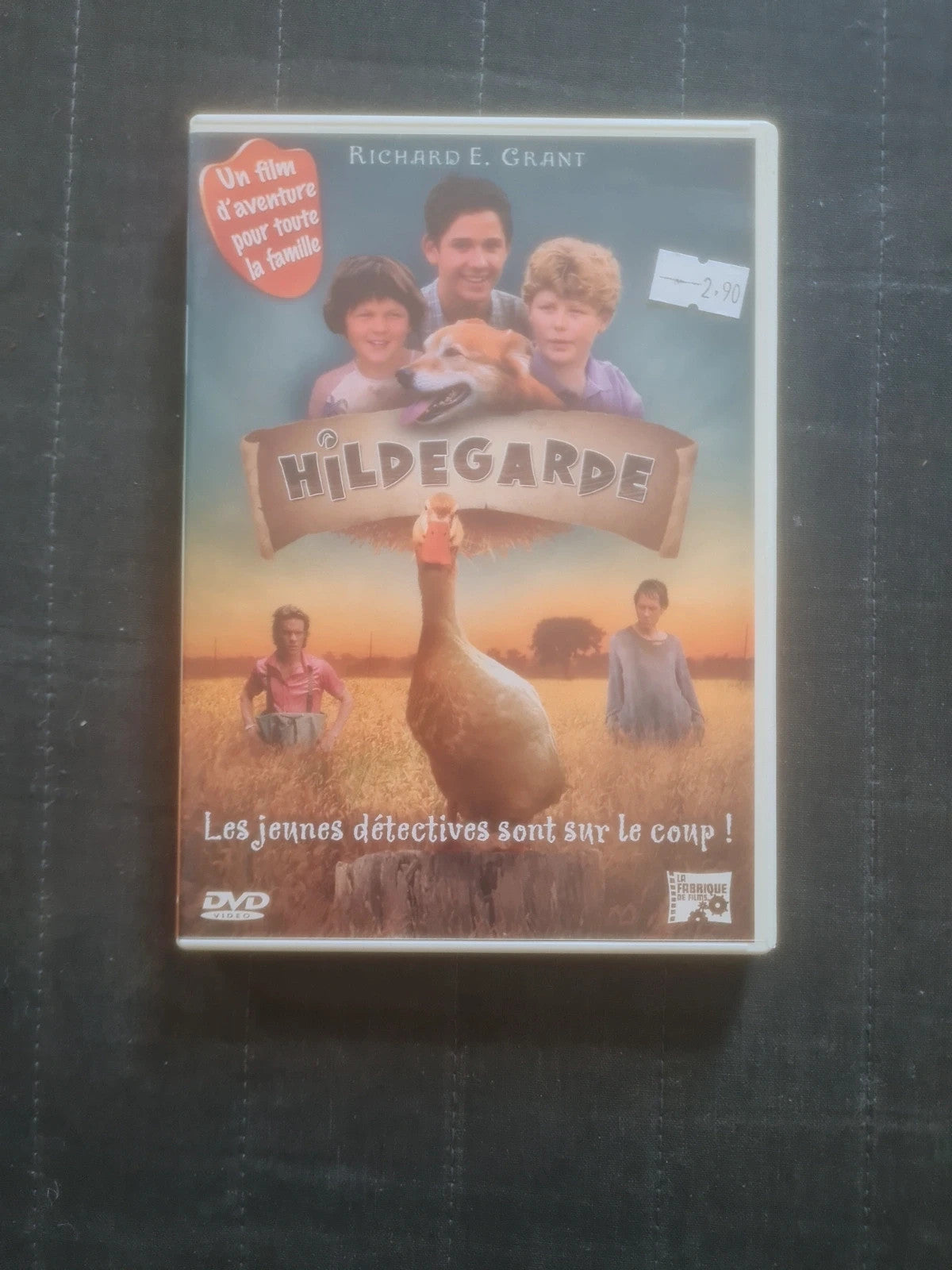 Dvd Hildegarde les jeunes détectives sont sur le coup