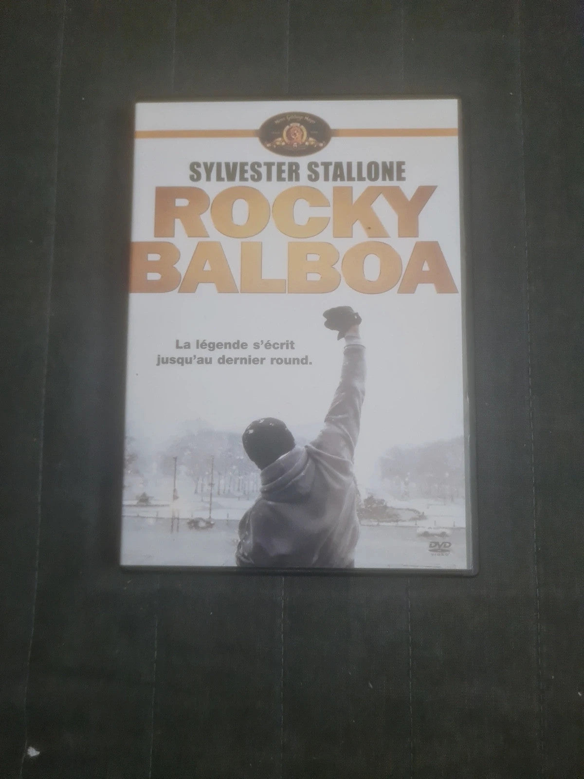 Rocky Balboa , Sylvester Stallone la légende s'écrit jusqu'au dernier round