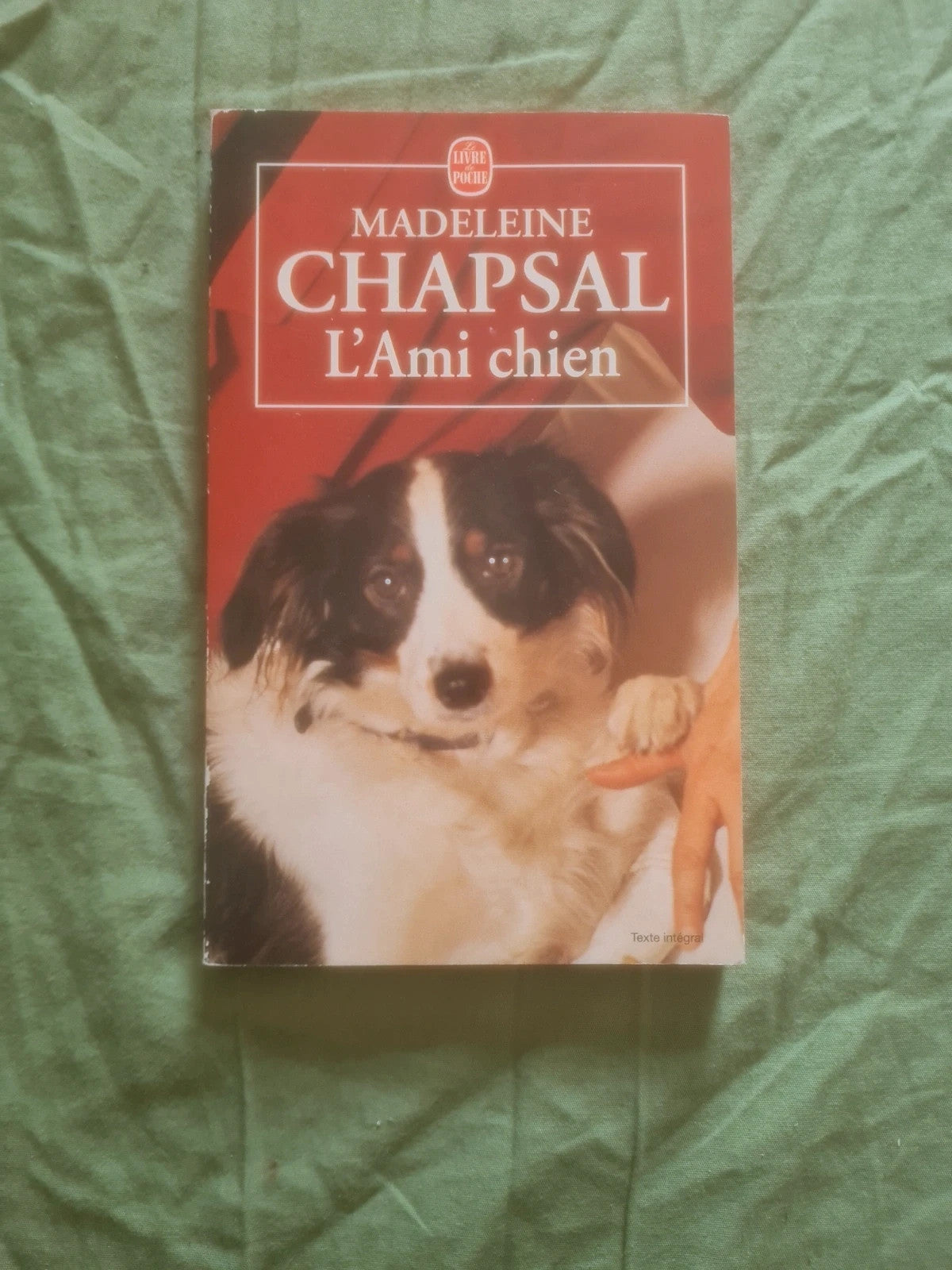 L'ami chien , Madeleine Chapsal